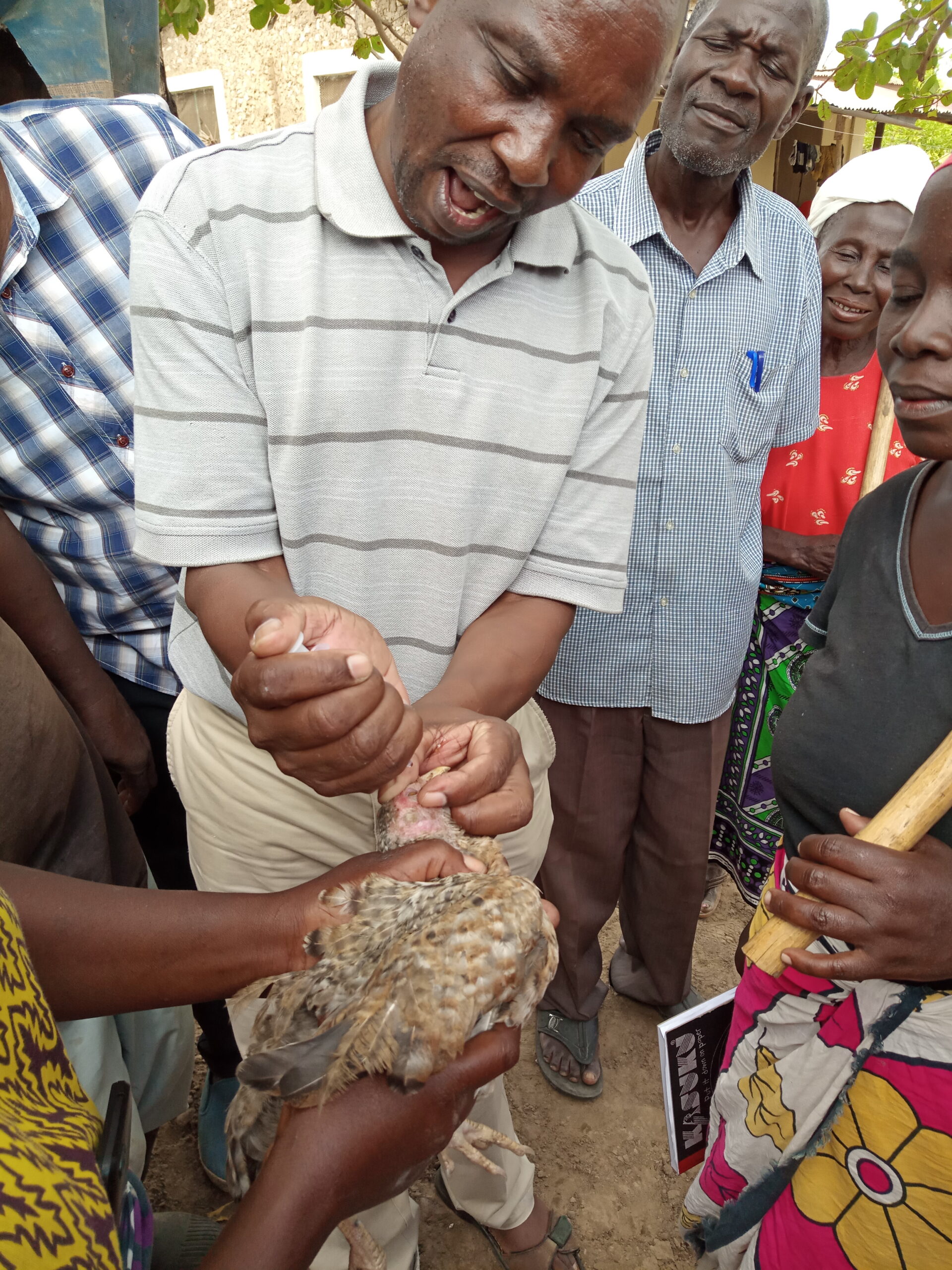 IMG_20190515_131421_4